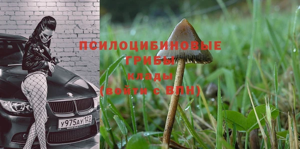 гидра Баксан