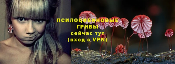 гидра Баксан